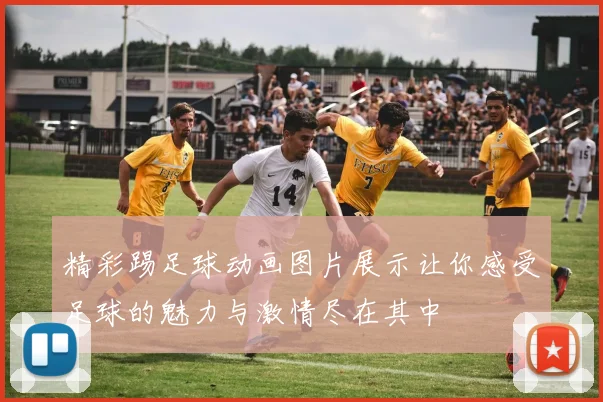 精彩踢足球动画图片展示让你感受足球的魅力与激情尽在其中