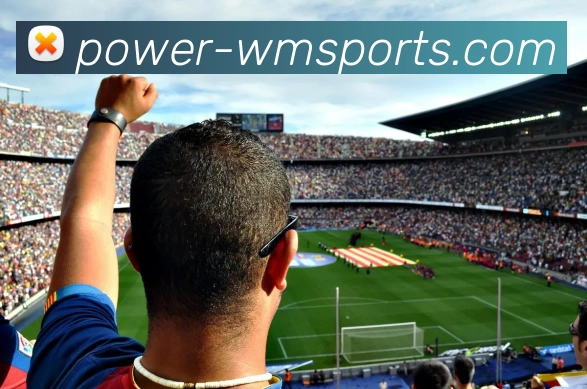 完美平台平台生态图